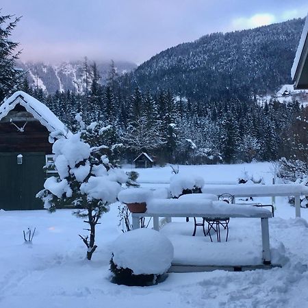 Traumhafte Wohnung auf Pferde Ranch Aich  Exterior foto