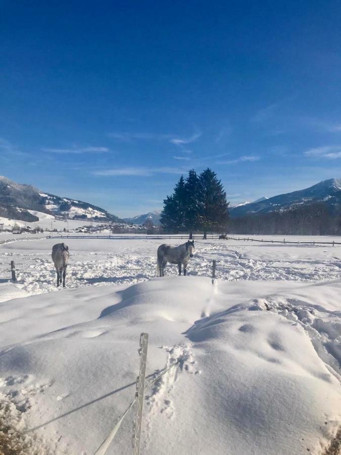 Traumhafte Wohnung auf Pferde Ranch Aich  Exterior foto